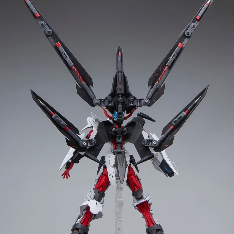 HG 1/144 Astray No-Name Astray - Bandai Gundam Rg recension och pris